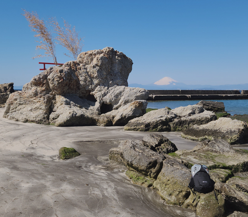 we aim at being the company which live<br />with nature, and growing up together...